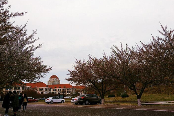 学校内景